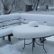 Leslie Rader Frazee's photo