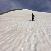 Carol Barry's photo