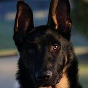 Denise Buckner's photo