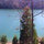 Patricia Reese Muir