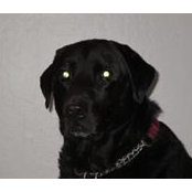 Allen Montgomery's photo