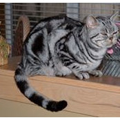 Kathi Walker's photo
