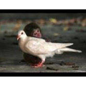 Jay Slaton's photo