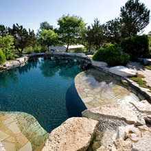 Signature Swims