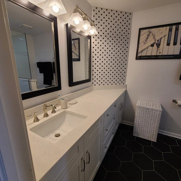 2021 Schaumburg, IL Master Bathroom Remodel