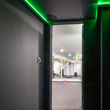 Sleek Basement Gym and Meditation Room