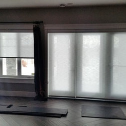 Hunter Douglas Roller/Screen Shades - Window Blinds