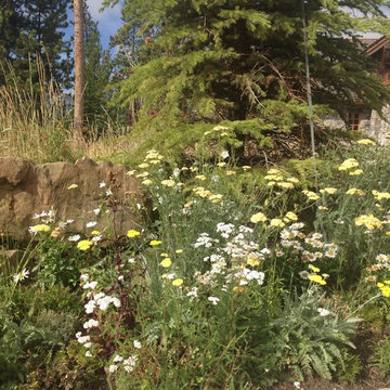 Mountain Landscaping