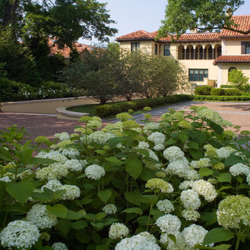 Renaissance Home