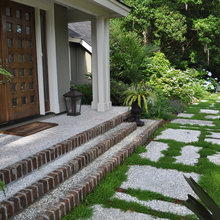Tabby Path