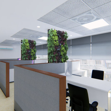 Office Interiors