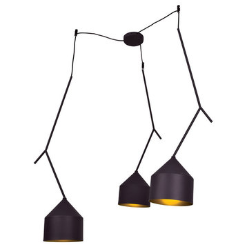 Pizzazz 3-Light Oblong Pendant, Black and Gold Finish, Shade