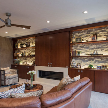 Countryside TV and Fireplace wall