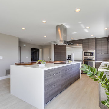 La Mesa_Modern Kitchen_Whole Home Remodel