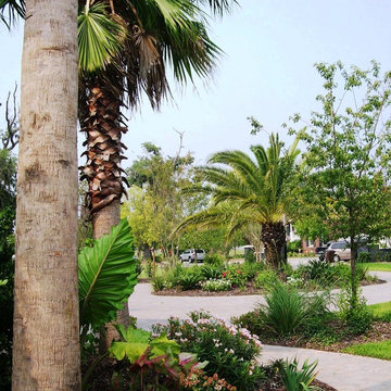 Tropicals