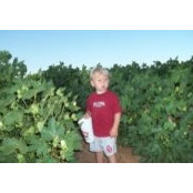 Meagan Stoltzfus's photo