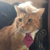 Kelly Cannon's photo