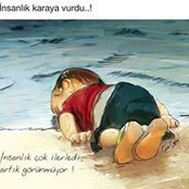 Ali Sarıyel's photo