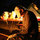 josh_robles