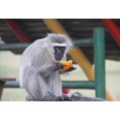 Fiffy Sebolao's photo