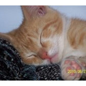 Claudette Burke King's photo