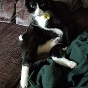 Joanna Hwang's photo