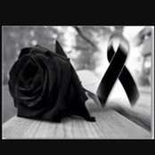 Yesenia Galvez's photo