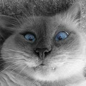 Irina Kezik's photo