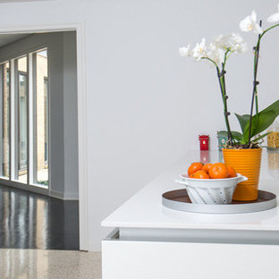 Hunter's Creek Village- Mid-Century Kitchen renovation