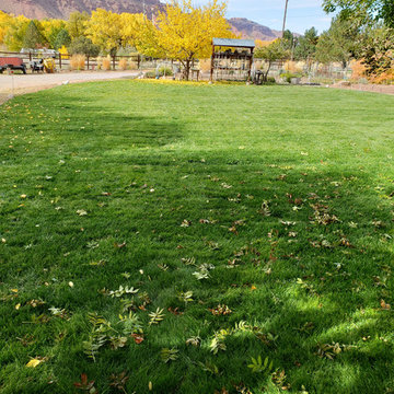 Custom Landscape Projects