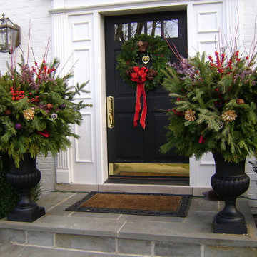 Winter Interest Container & Annual Display