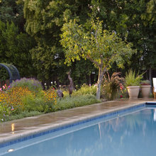 Exterior Ideas