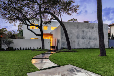 Trendy home design photo in Houston