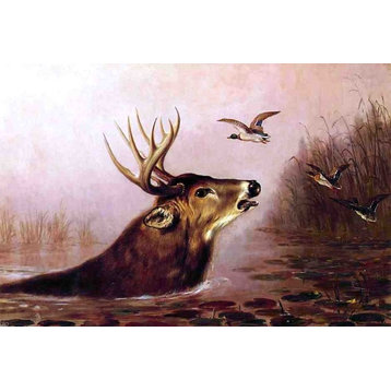Arthur Fitzwilliam Tait A Deer in Marsh, 18"x27" Wall Decal
