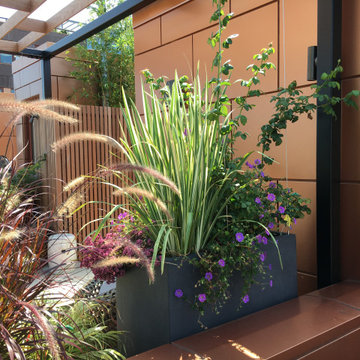 Cobble Hill Rooftop & Pergola