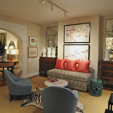 Living Room Ideas
