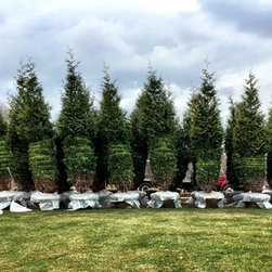 Farms - Gardening And Lawn Care