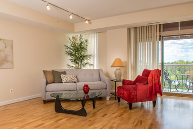 Living room - contemporary living room idea in DC Metro