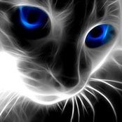 Валентина Копаева's photo