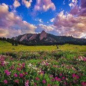 Julie Jensen's photo