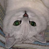 Елена Жудро's photo