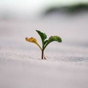 Keith Xie's photo