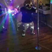 Harley Brown's photo