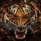 Devang Patel's photo