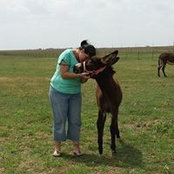 Vicky Lapierre's photo