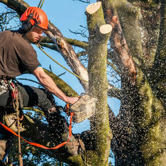 Mic Maintenance Tree and Landscaping
