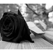 Kelly Rodrigues's photo