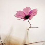 Nesma Ashraf's photo