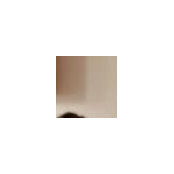Alex Richards's photo