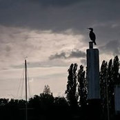 Foto von Ilona Derra
